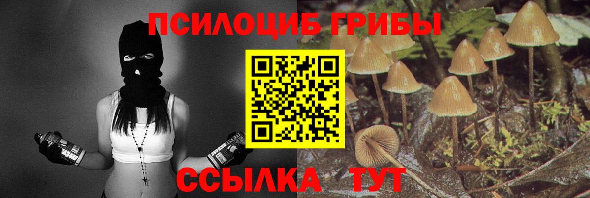 Псилоцибиновые грибы GOLDEN TEACHER Рыбинск